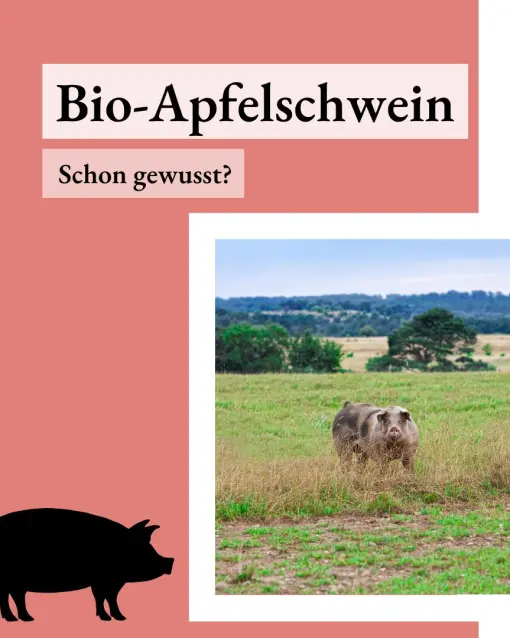 Hast Du schon mal vom Havell?nder Bio-Apfelschwein geh?rt?